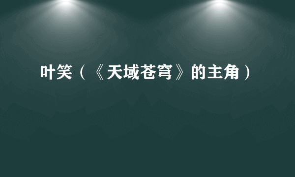 叶笑（《天域苍穹》的主角）