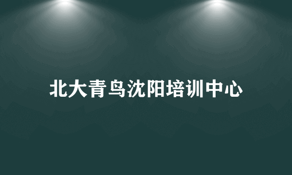北大青鸟沈阳培训中心