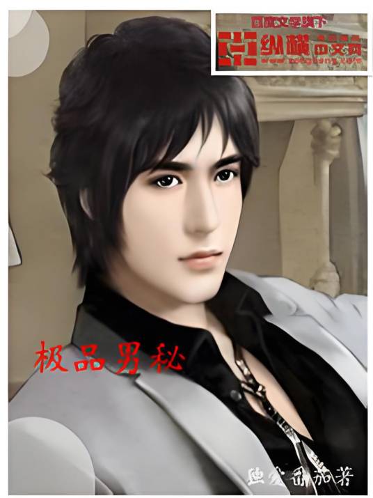 极品男秘