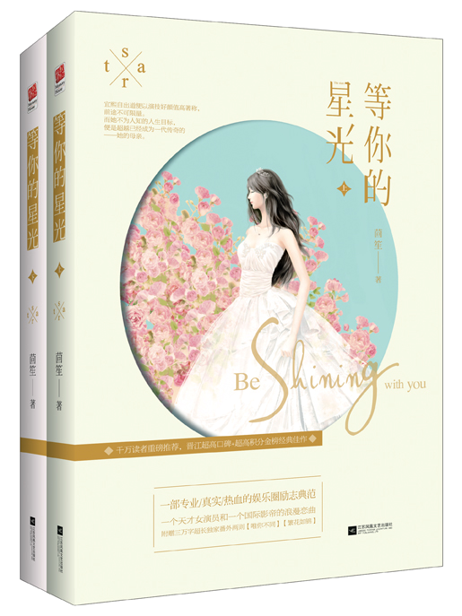 等你的星光（2016年江苏文艺出版社出版图书）