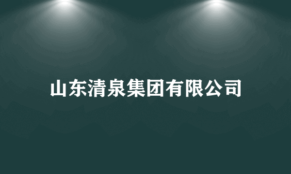 山东清泉集团有限公司