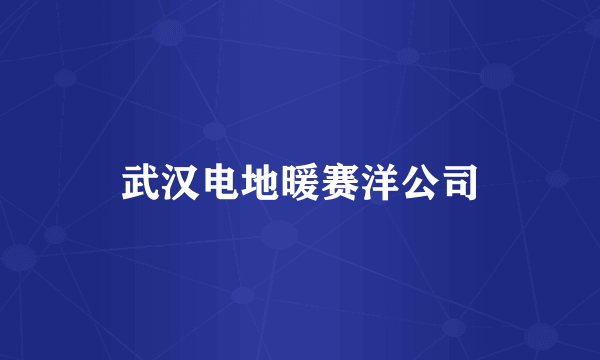武汉电地暖赛洋公司