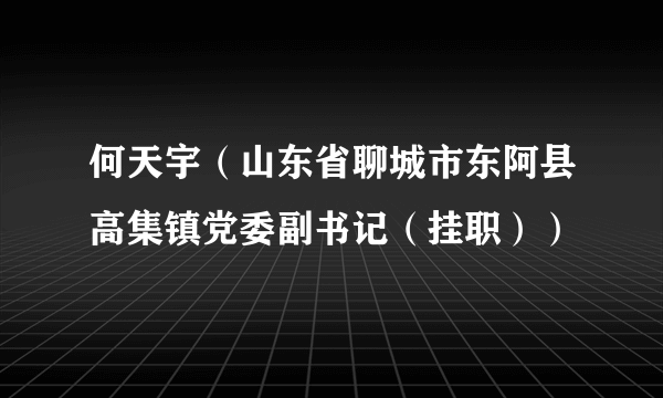 何天宇（山东省聊城市东阿县高集镇党委副书记（挂职））