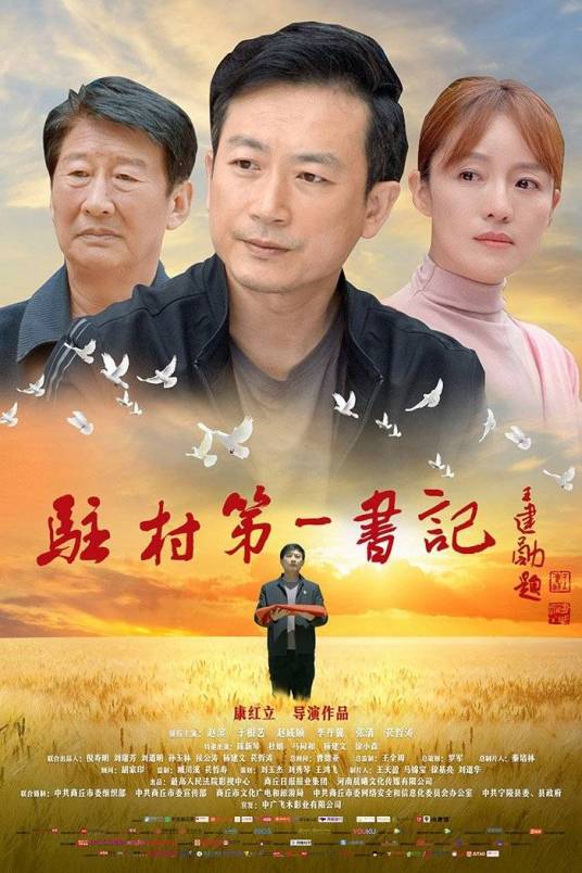 驻村第一书记（2021年康红立执导的电影）