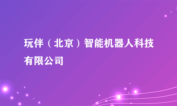 玩伴（北京）智能机器人科技有限公司
