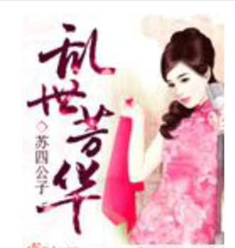 乱世芳华（苏四公子著网络小说）
