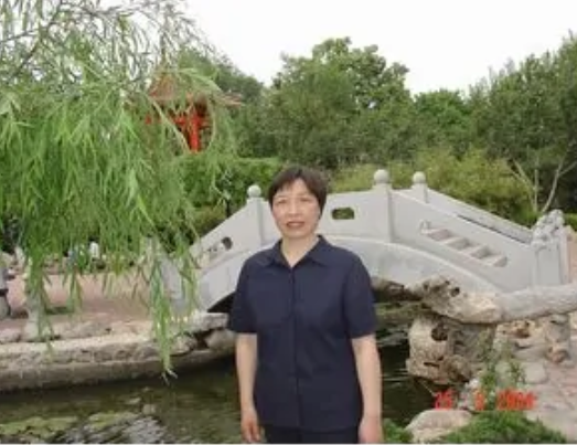 邹杨（东北财经大学教授）
