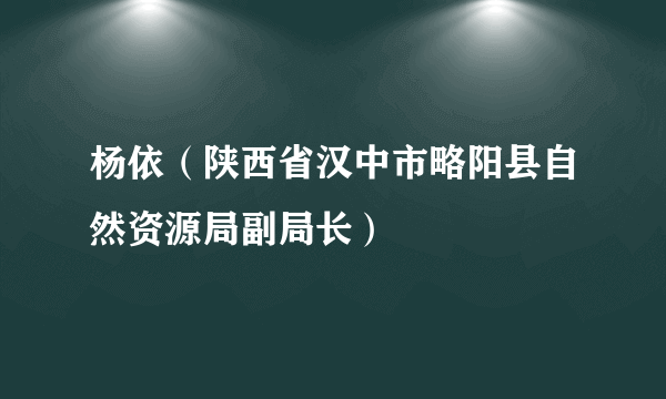 杨依（陕西省汉中市略阳县自然资源局副局长）