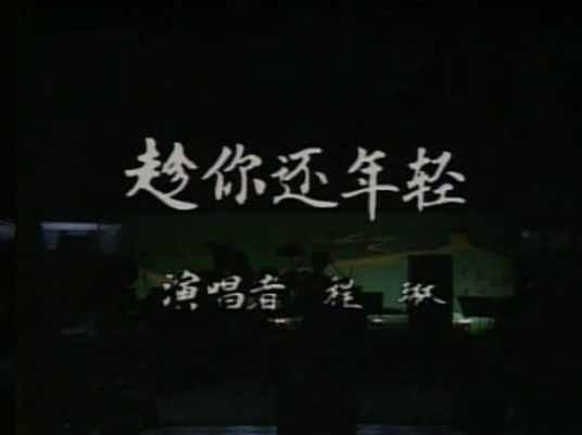 趁你还年轻（程琳演唱歌曲）