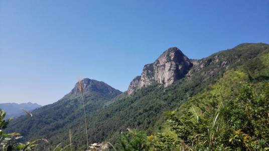 福建五虎山国家森林公园