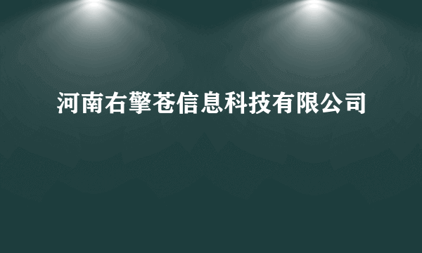 河南右擎苍信息科技有限公司