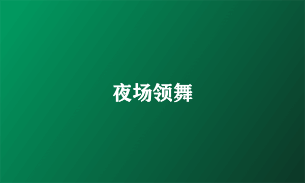 夜场领舞