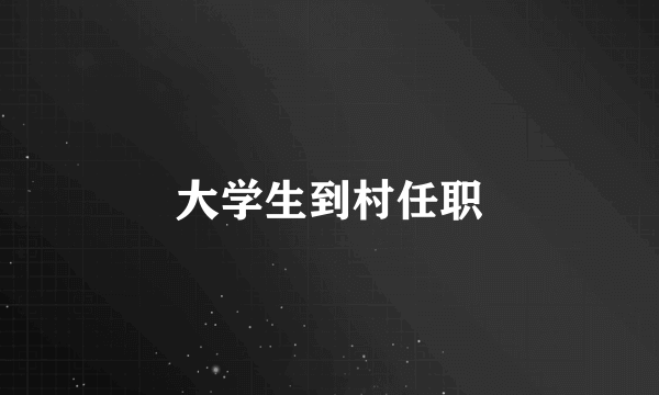 大学生到村任职