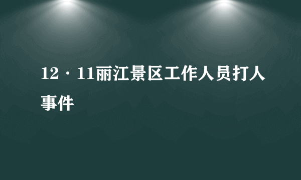 12·11丽江景区工作人员打人事件
