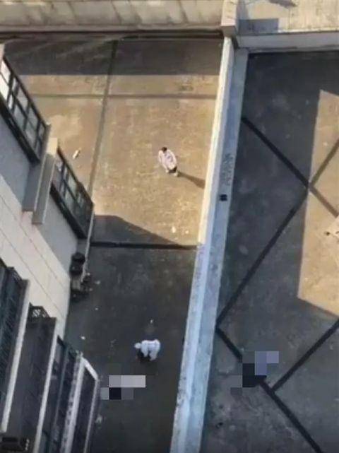 4·9黄山夫妻坠楼事件