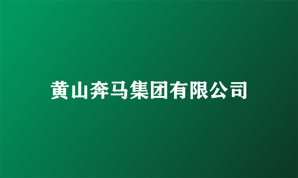 黄山奔马集团有限公司