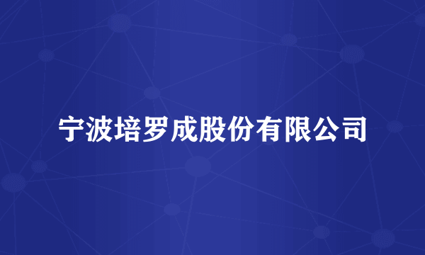 宁波培罗成股份有限公司