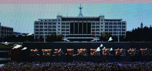陕西孙思邈国医药专修学院
