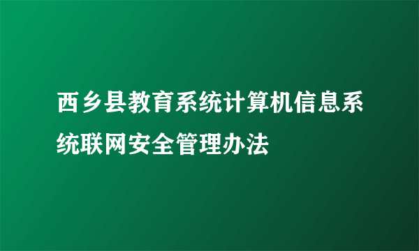 西乡县教育系统计算机信息系统联网安全管理办法