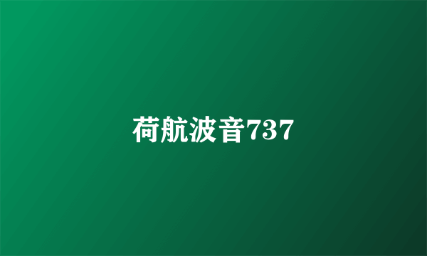 荷航波音737