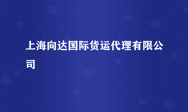 上海向达国际货运代理有限公司