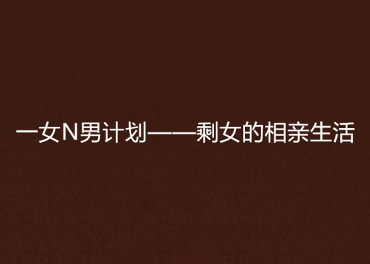 一女N男计划——剩女的相亲生活