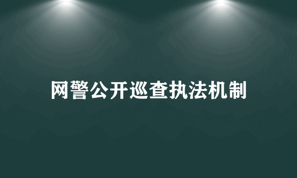 网警公开巡查执法机制