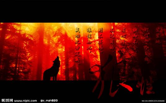 签名设计软件