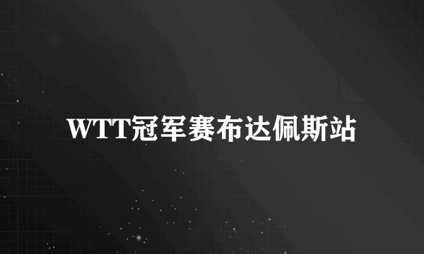 WTT冠军赛布达佩斯站