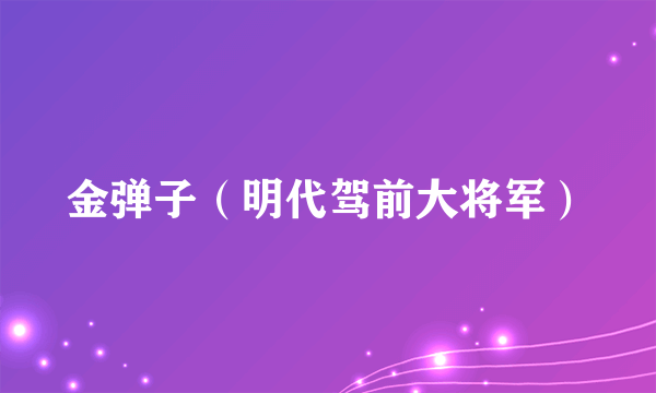 金弹子（明代驾前大将军）