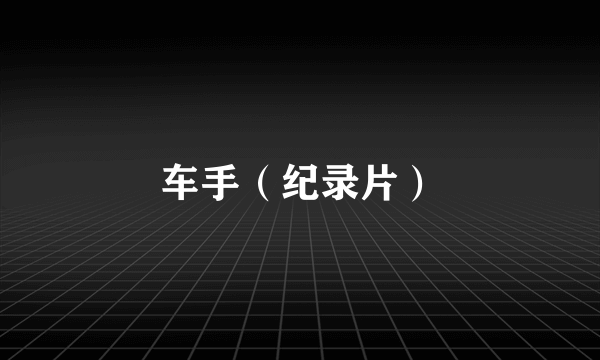 车手（纪录片）