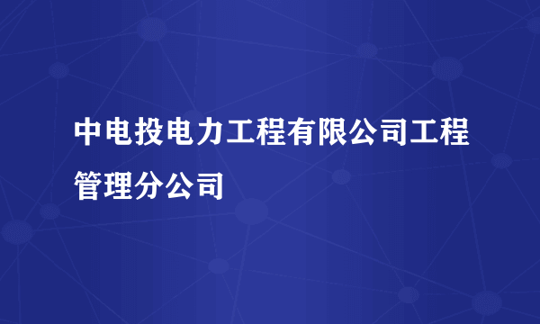中电投电力工程有限公司工程管理分公司