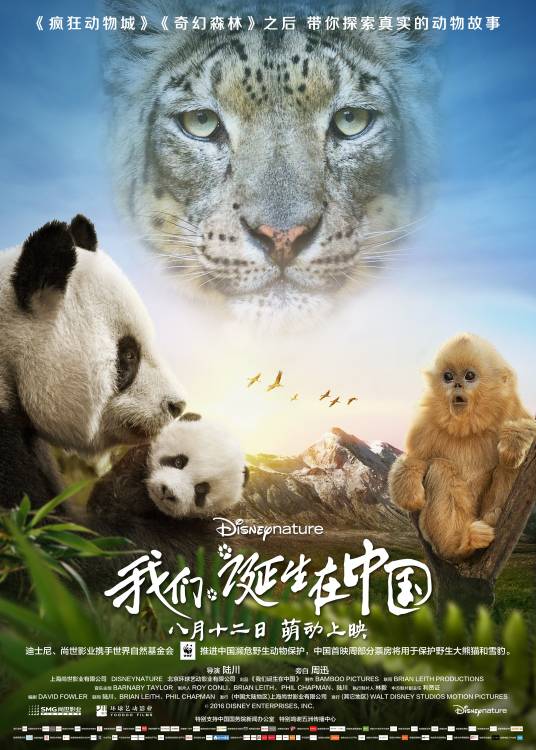 我们诞生在中国（陆川导演的电影）