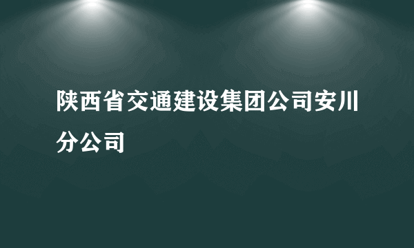 陕西省交通建设集团公司安川分公司