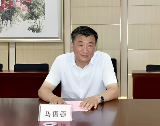 马国强（新疆维吾尔自治区党委政法委原副书记）