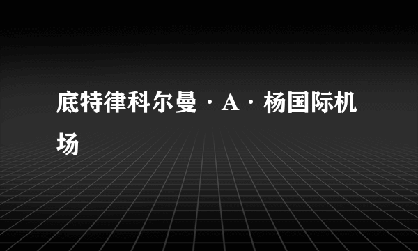底特律科尔曼·A·杨国际机场