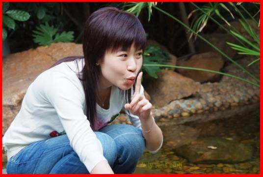 陈洁丽（中国内地女歌手）