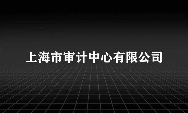 上海市审计中心有限公司