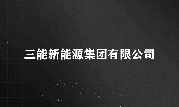 三能新能源集团有限公司