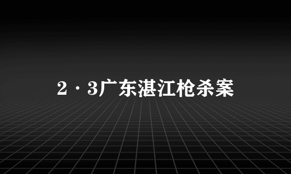 2·3广东湛江枪杀案