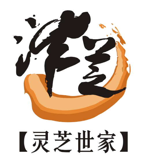 沣芝旗舰店