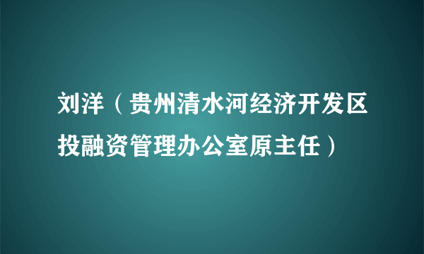 刘洋（贵州清水河经济开发区投融资管理办公室原主任）