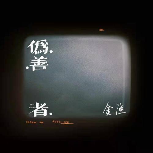 伪善者（金渔演唱的歌曲）