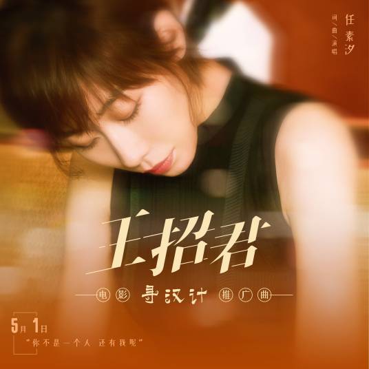 王招君（任素汐演唱歌曲）