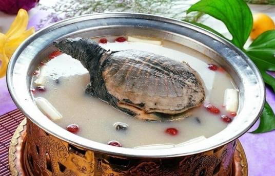 天麻当归水鱼汤