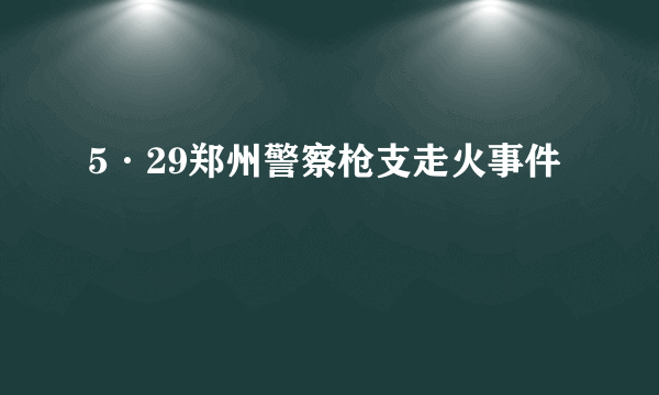 5·29郑州警察枪支走火事件