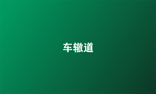 车辙道