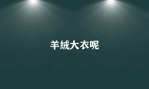 羊绒大衣呢
