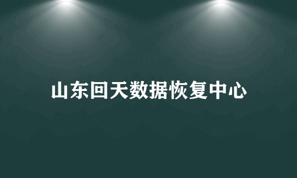 山东回天数据恢复中心
