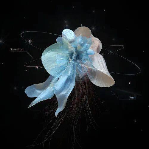 Satellite（2022年裴秀智演唱的歌曲）